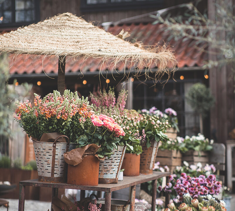 blommor